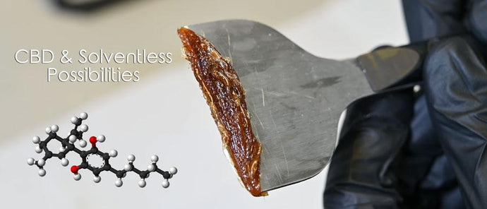 The State of CBD, CBD Rosin, & How to Make it At Home