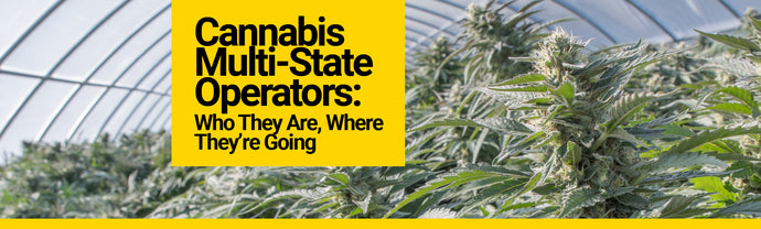Cannabis Multi-State Operators: Who They Are, Where They’re Going