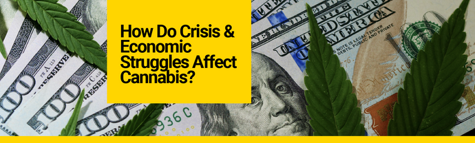 How Do Crisis and Economic Struggles Affect Cannabis?