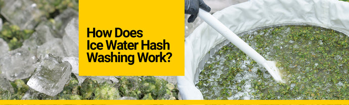 How Does Ice Water Hash Washing Work?