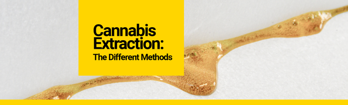 Primary Cannabis Extraction Methods Explained
