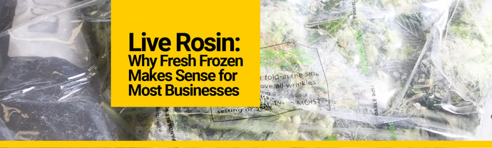 Live Rosin: Why Fresh Frozen Makes Sense for Most Businesses