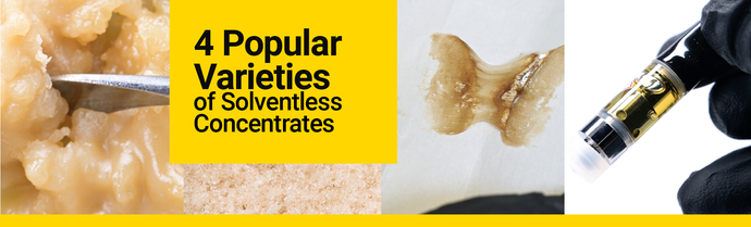 4 Popular Varieties of Solventless Concentrates