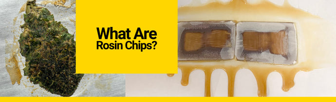 What Are Rosin Chips?