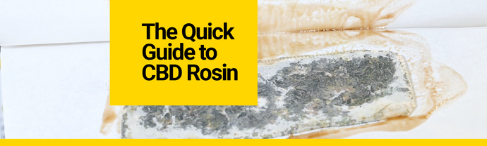 The Quick Guide to CBD Rosin (2021 Edition)