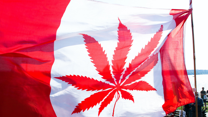 Cannabis Extraction & Processing in Canada