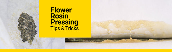 Flower Rosin Pressing Tips & Tricks