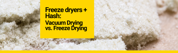 Freeze Dryers and Bubble Hash: Vacuum Drying vs. Freeze Drying