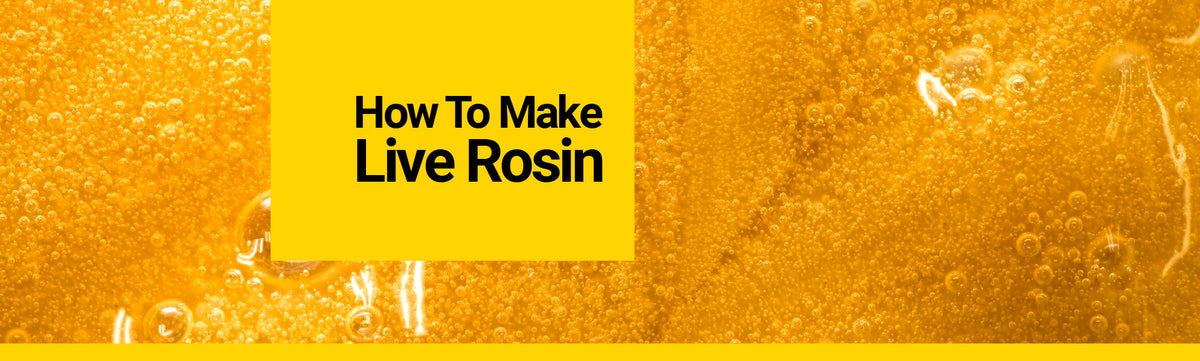 How To Make Live Rosin - Step by Step Guide