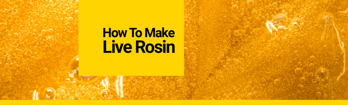 How to Make Live Rosin