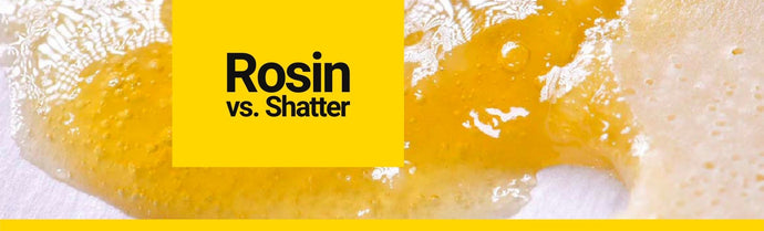 Rosin vs. Shatter