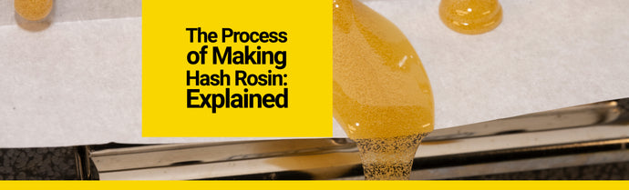 The ﻿Process of Making Hash Rosin: Explained