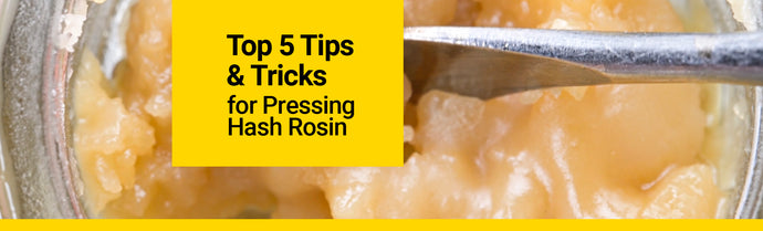 Top 5 Tips & Tricks for Pressing Hash Rosin