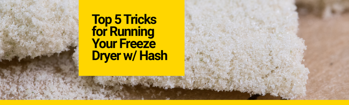 Top 5 Tricks for Running Your Harvest Right Freeze Dryer for Bubble Hash