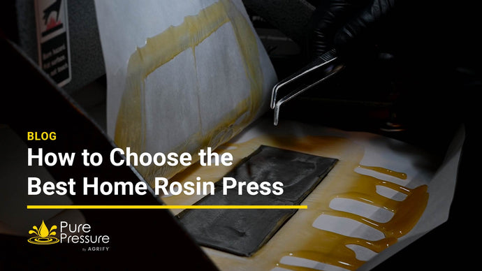 How to Choose the Best Home Rosin Press