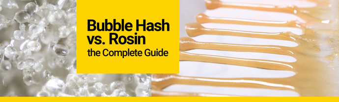The Complete Guide to Bubble Hash vs. Rosin